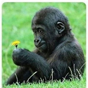 Meet your Posher, Mimi